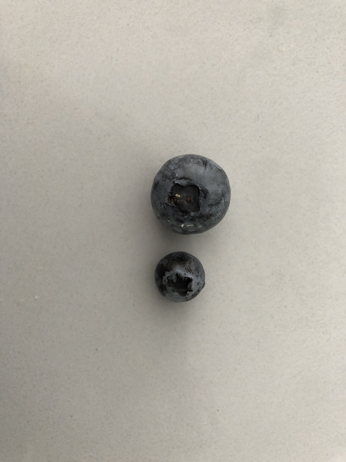 4f1d265765bfbbf566996d18288f7b17.jpg