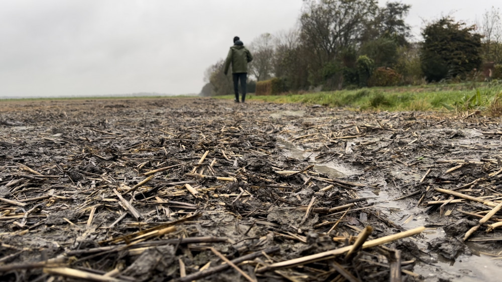 Bollenschuren vol door ongekend nat najaar