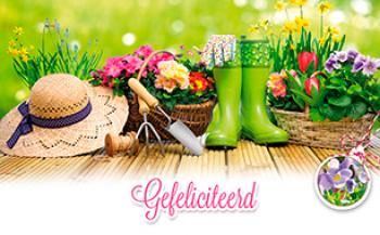 Gefeliciteerd kaart met tuinterras.