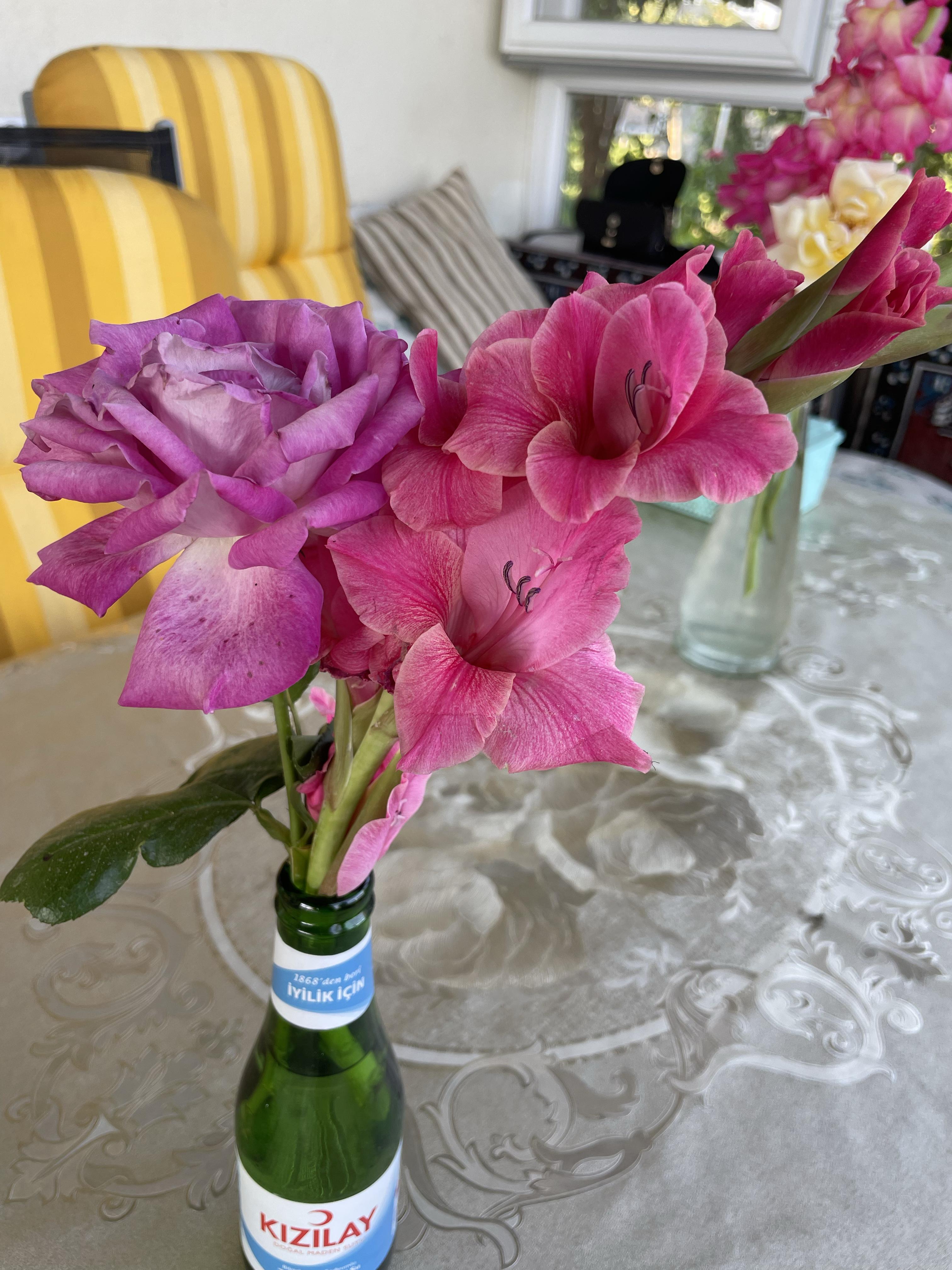 63f27a19c256a87e4b7a40d4492125a6.jpg