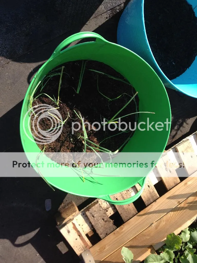 70A5CBFF-D278-4F8A-BE6E-B279493FE6D4_zpst9vmxwxp.jpg
