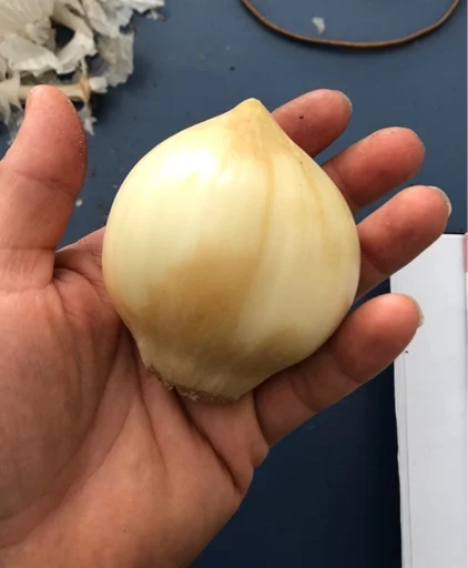 7d42799312817e678f263536fcf447e2.jpg