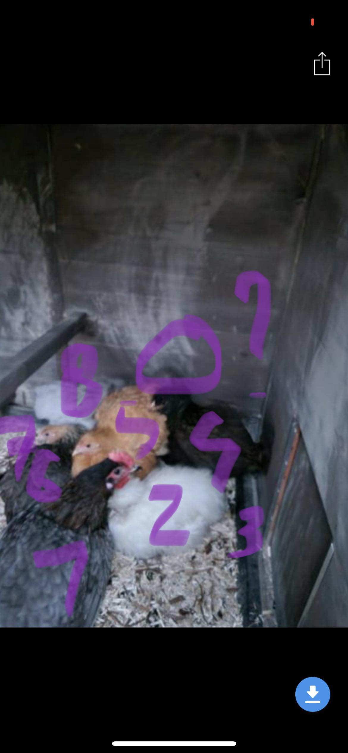 8c4eaf87834ddfb9ebbc9c4c747b065b.png