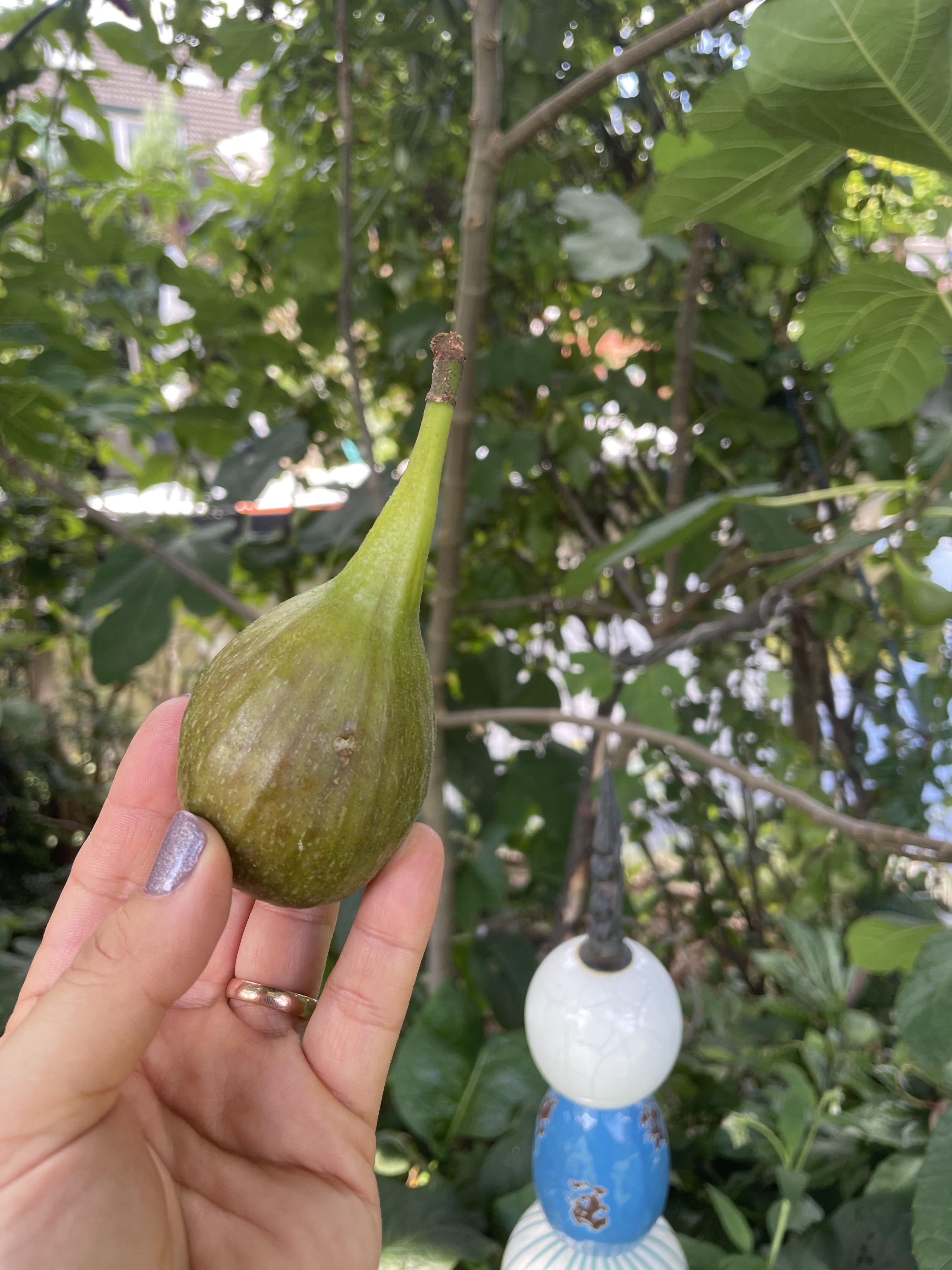 94598ebed73c40eaca8683ea12d10337.jpg