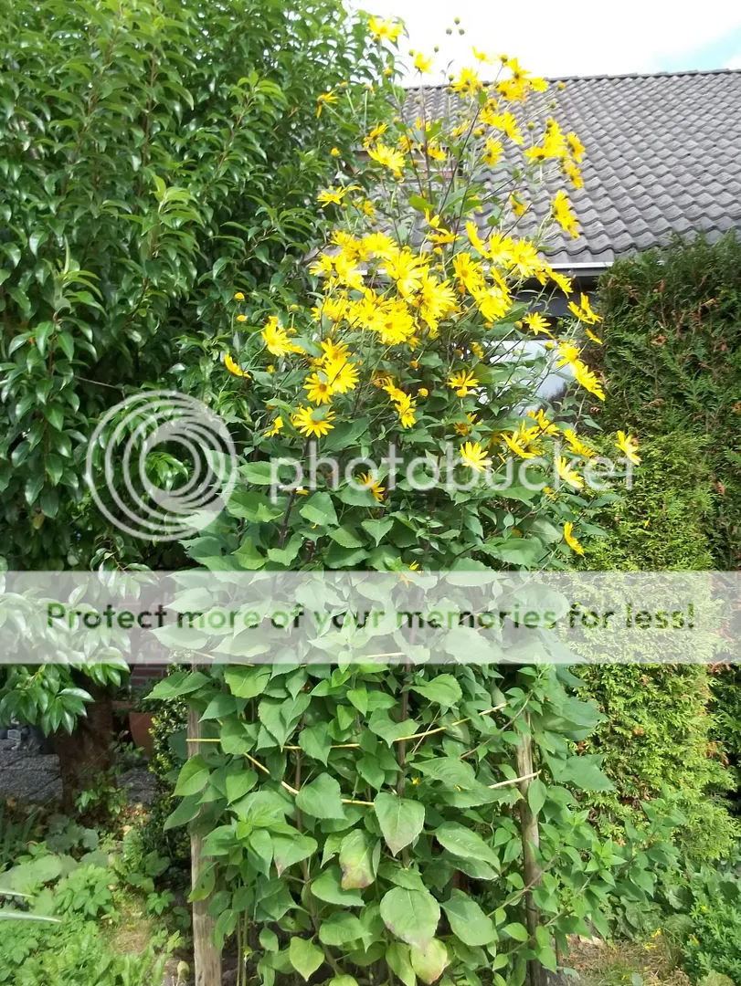 Afbeelding083.jpg