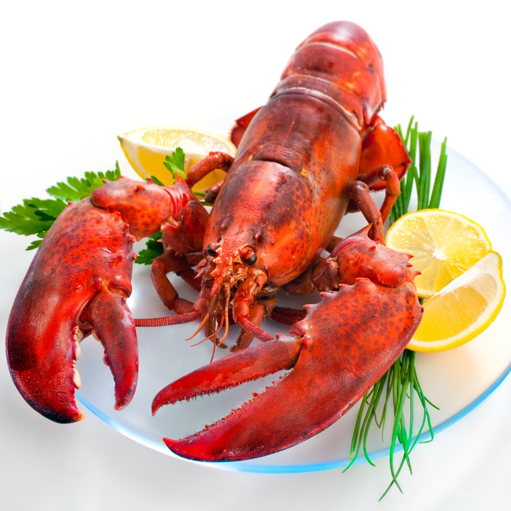 AlexanderRaths-shutterstock.jpg