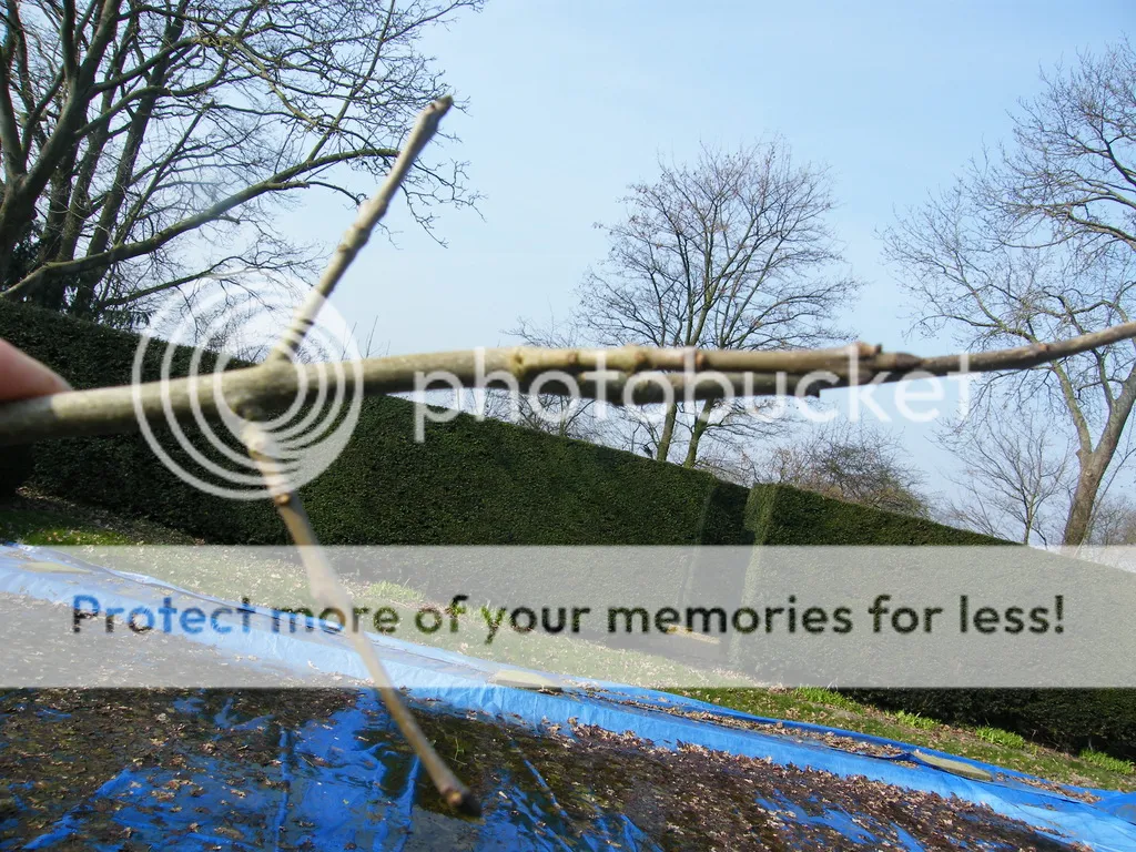 DSCF5814_zpse6ck7qoj.jpg