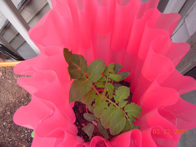DSCN2056.JPG