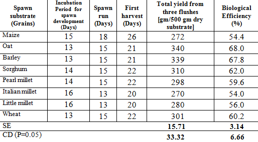 Effect+of+Grain+spawn+on+cultivation+of++Pleurotus+eous.png