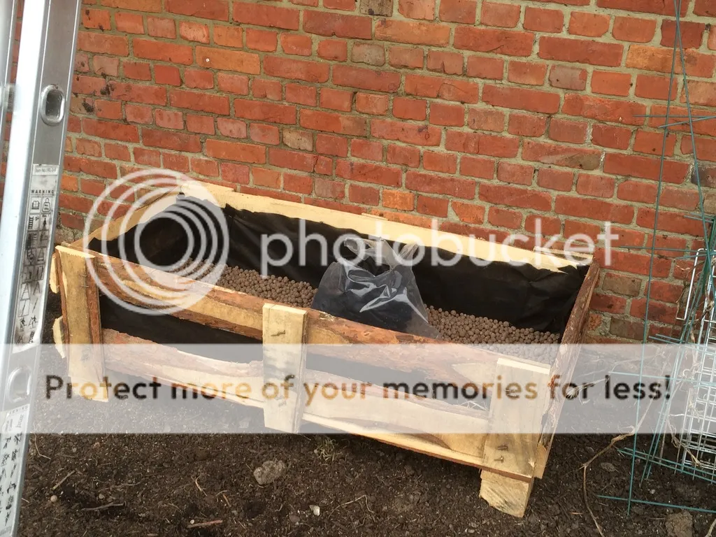 F7047FF1-E69F-486A-AF10-26C1F98A9A19_zpsqvfrjhut.jpg