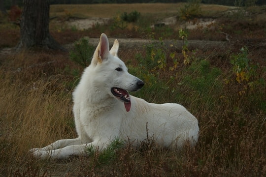 Foto-6WTHKCFI.jpg