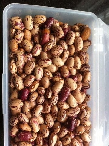 Foto-CIBLCORZ-D.jpg