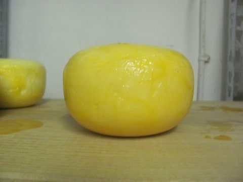Foto-QU3HIFSG.jpg