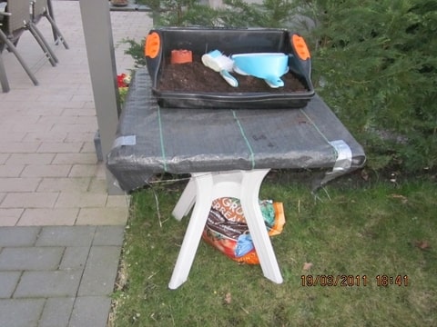 Foto-SWSJ6KFP.jpg
