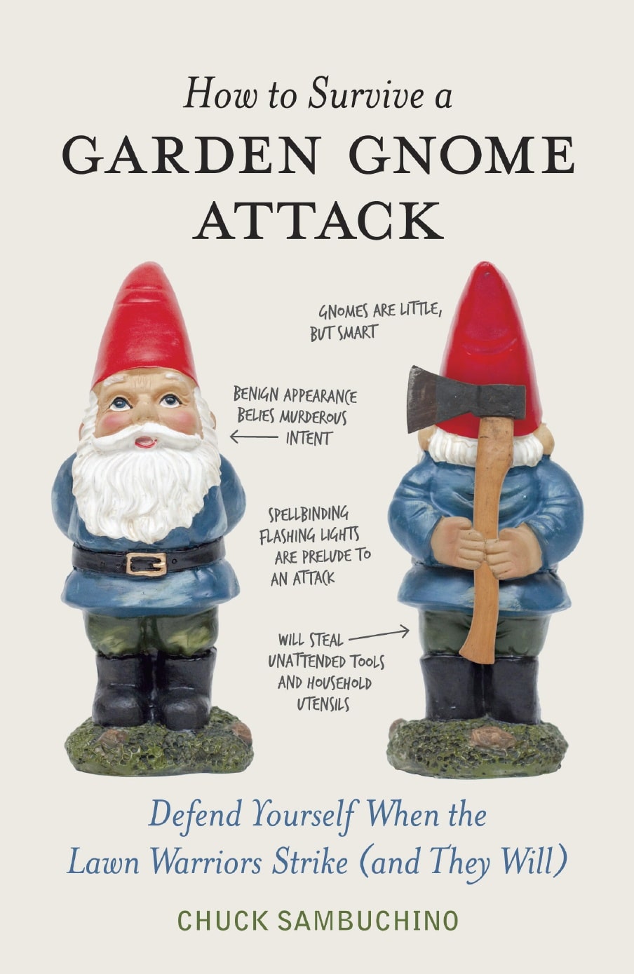 Gnomes-cover-very-big.jpg