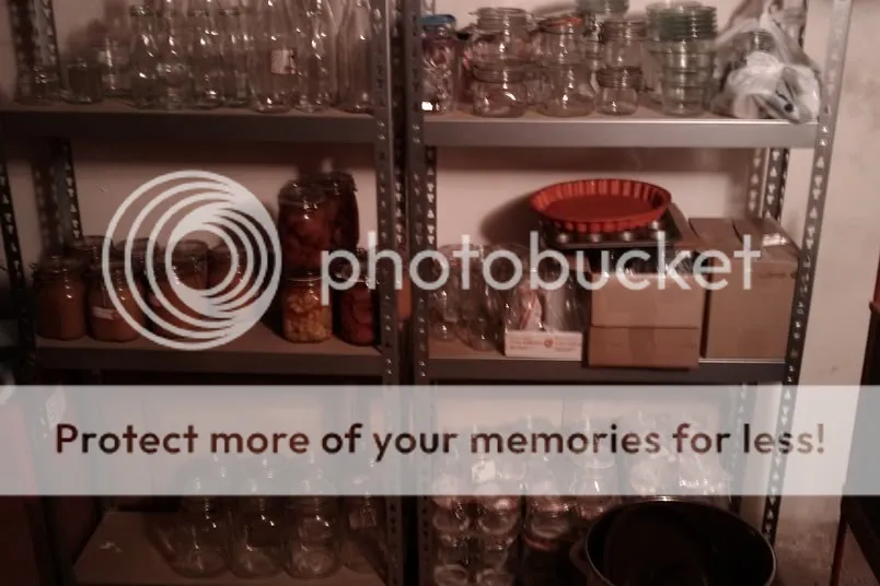 IMAG0007-1.jpg
