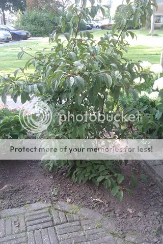 IMAG0061640x480.jpg