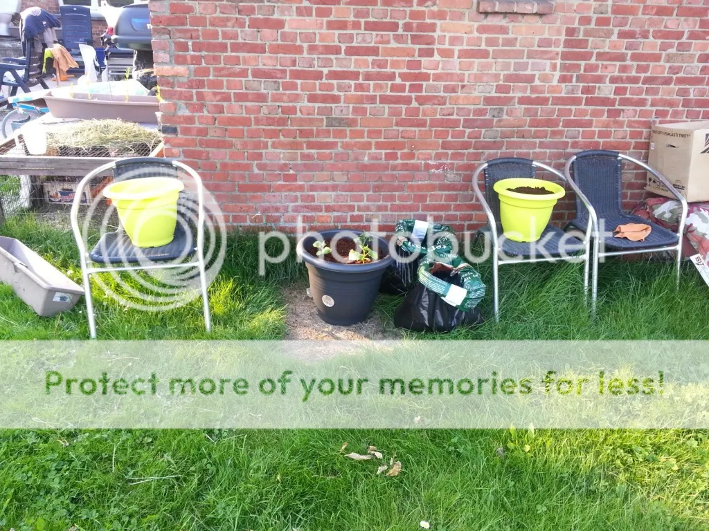 IMG_0006_zps4d1f8a8e.jpg