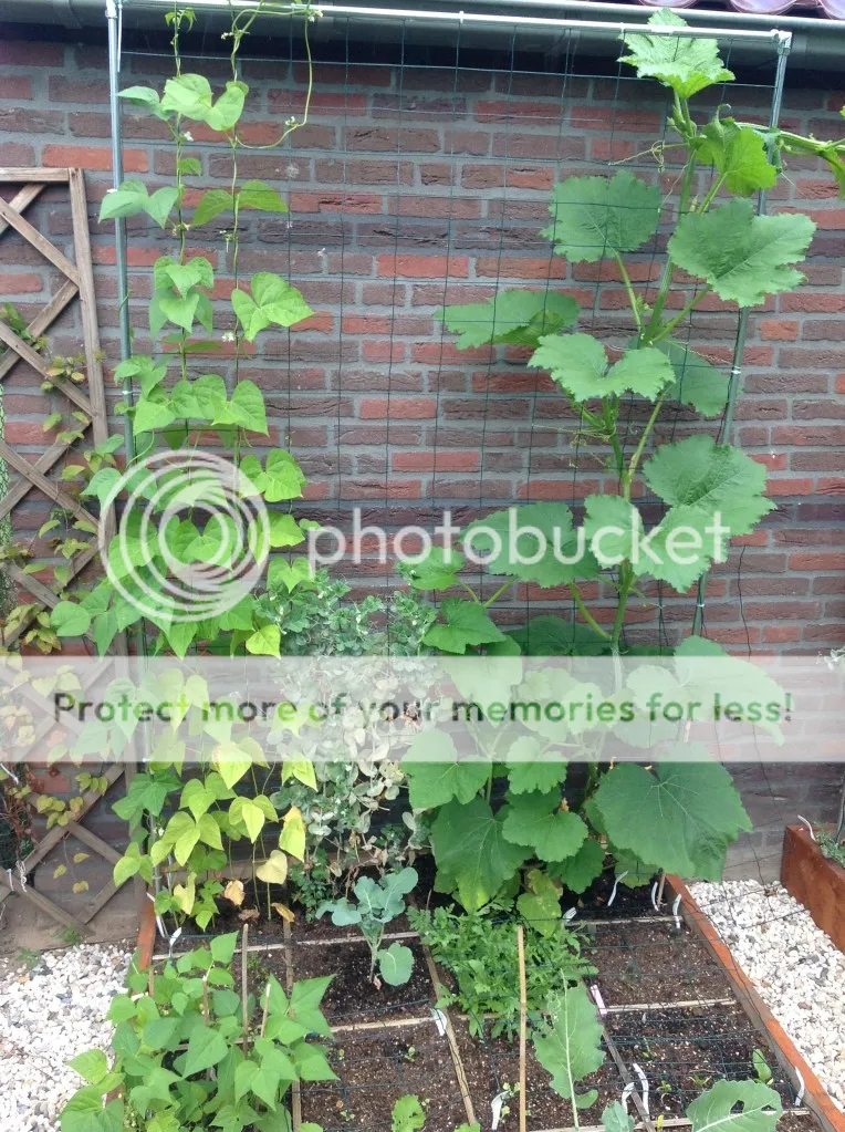 IMG_0012.jpg