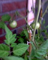 IMG_0149.JPG