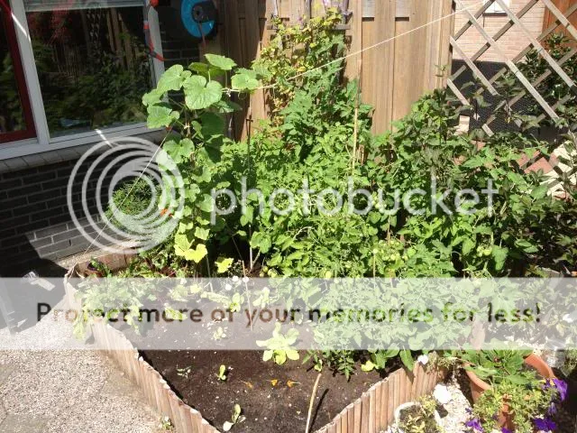 IMG_1582.jpg