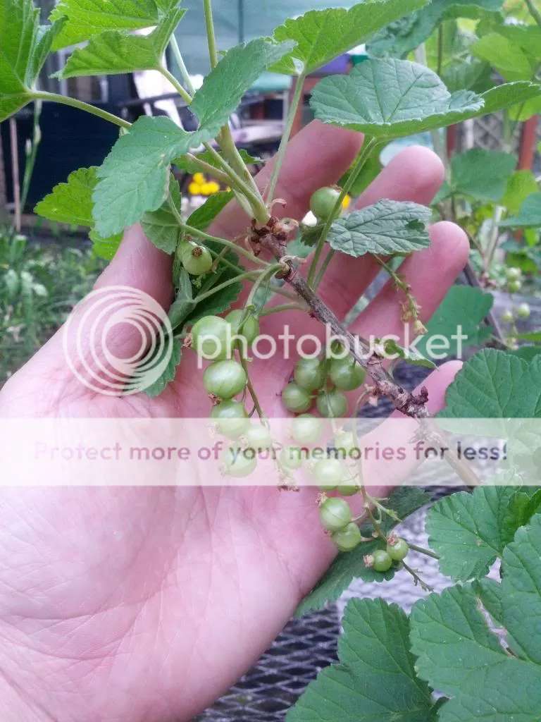 IMG_20140425_170102.jpg