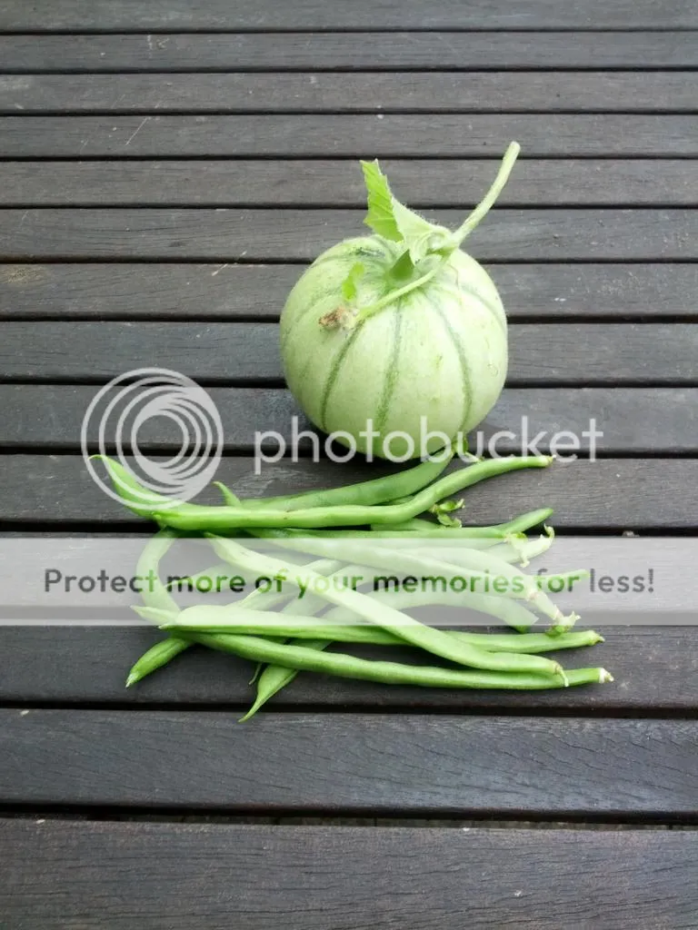 IMG_20140902_165842.jpg