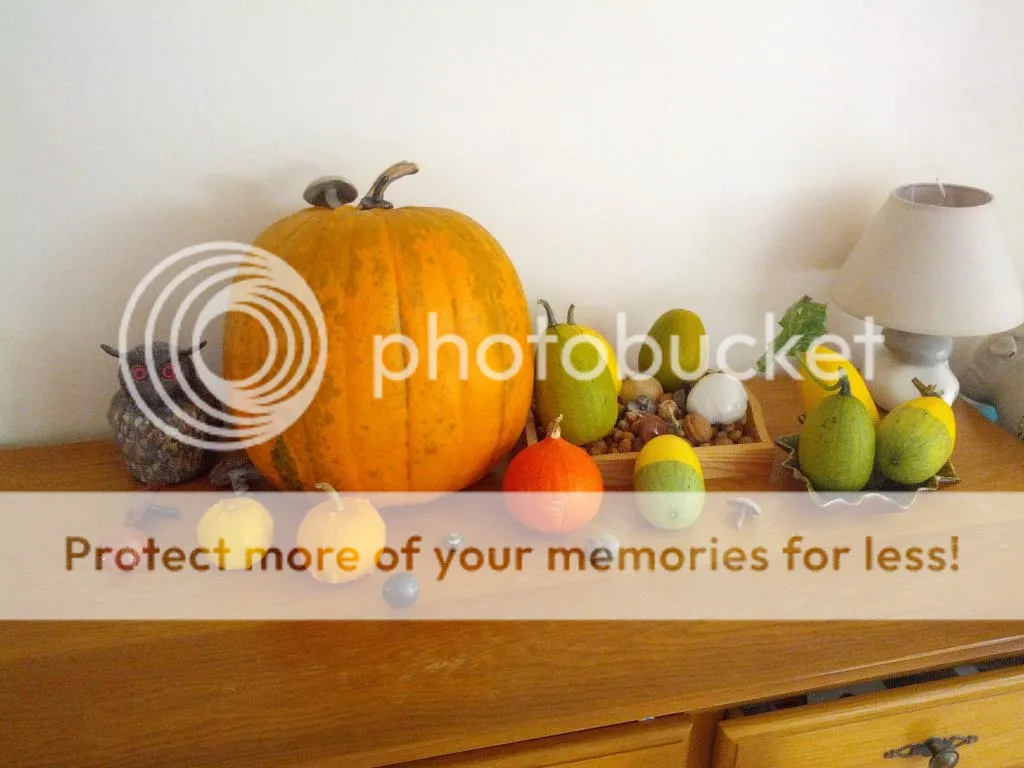 IMG_20141019_1535181.jpg