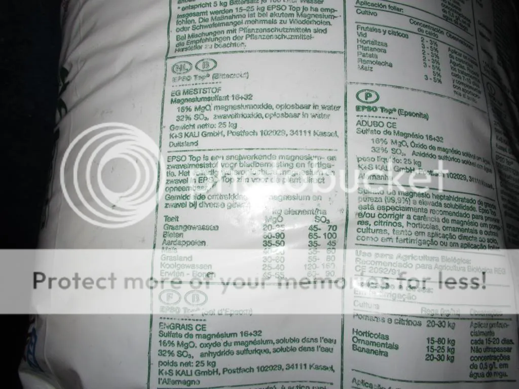 IMG_2133_zpsd77ec6c7.jpg