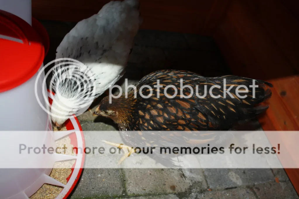 Kids2012002-10.jpg