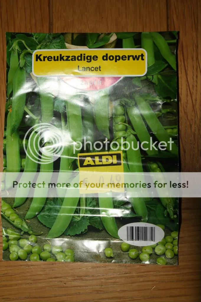 Kids2012003-4-1.jpg