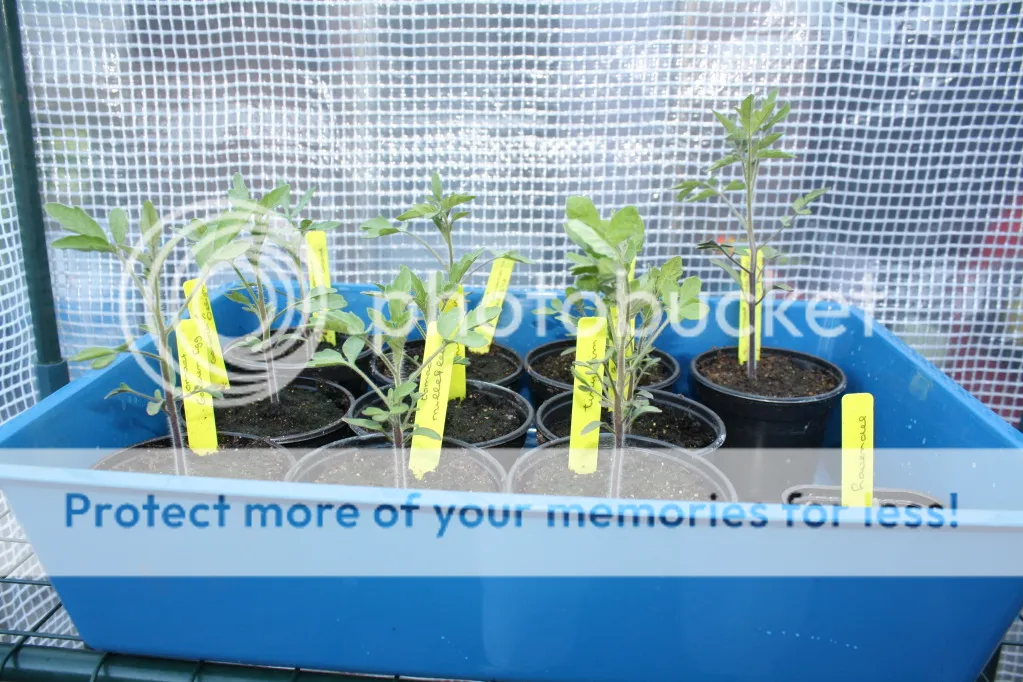 Kids2012008-2.jpg