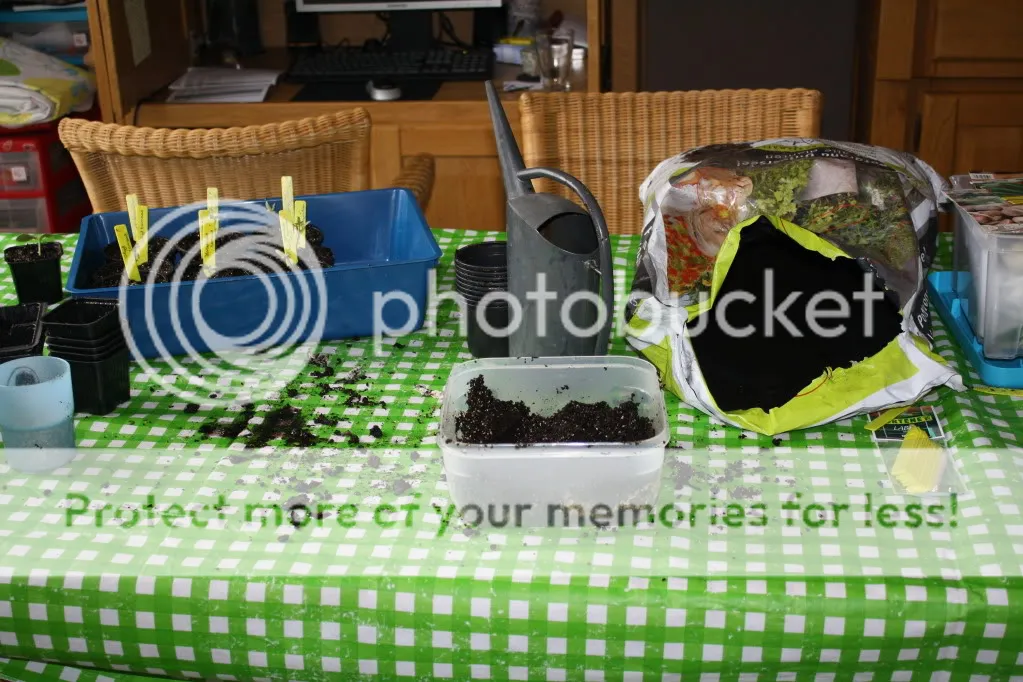 Kids2012009.jpg