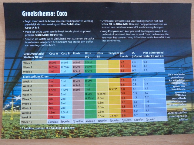 P1030702.jpg