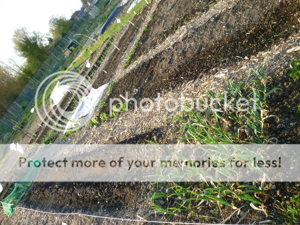 P1060052_zpsworomp5t.jpg