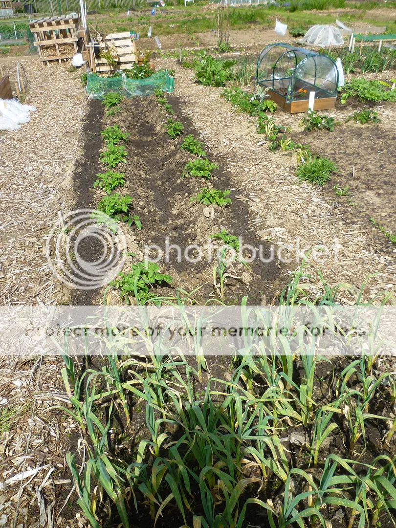 P1060105_zpsl6nin8ph.jpg