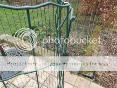 SAM_1748.jpg?t=1393341103