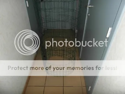 SAM_1751.jpg?t=1393425055