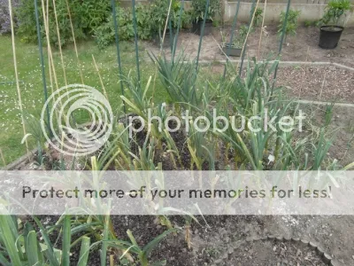 SAM_2176.jpg?t=1400839870