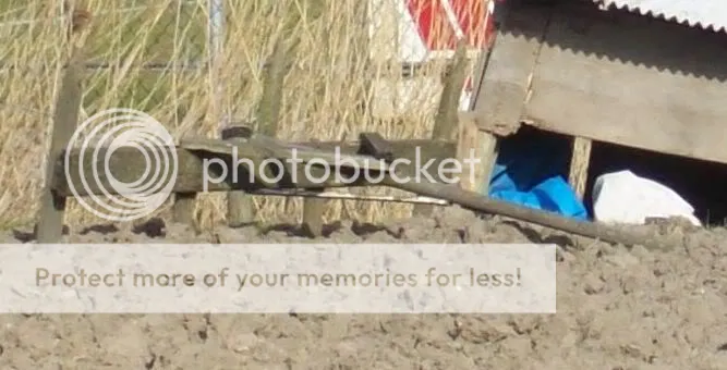 Sleuventrekker-1.jpg
