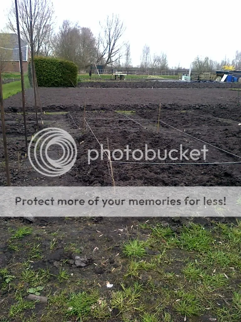 Tuinb.jpg