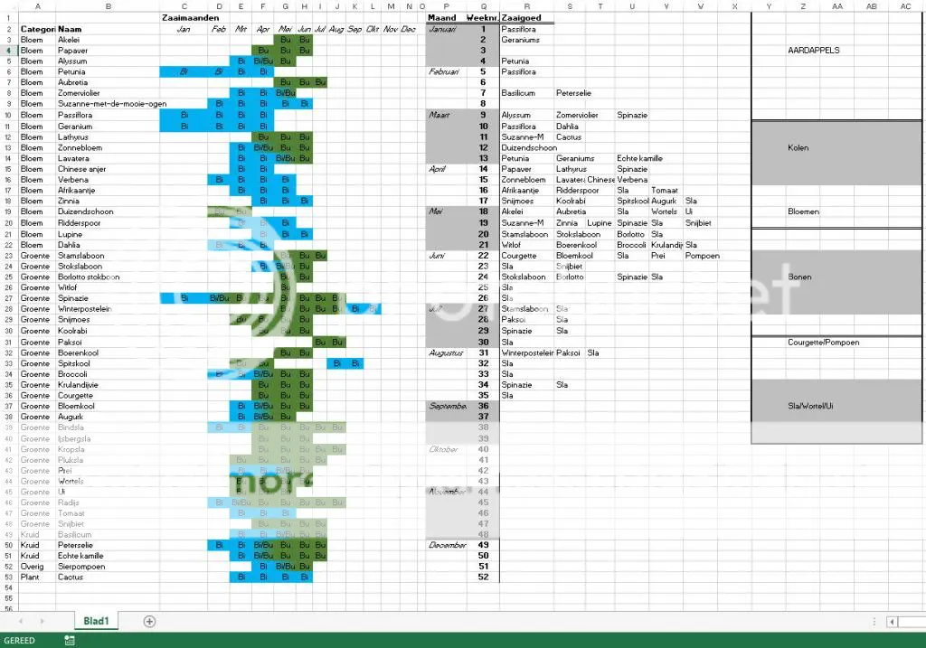 Tuinplan_zps6553e76c.jpg