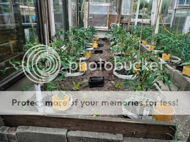 P6170006_zps3inorw1u.jpg
