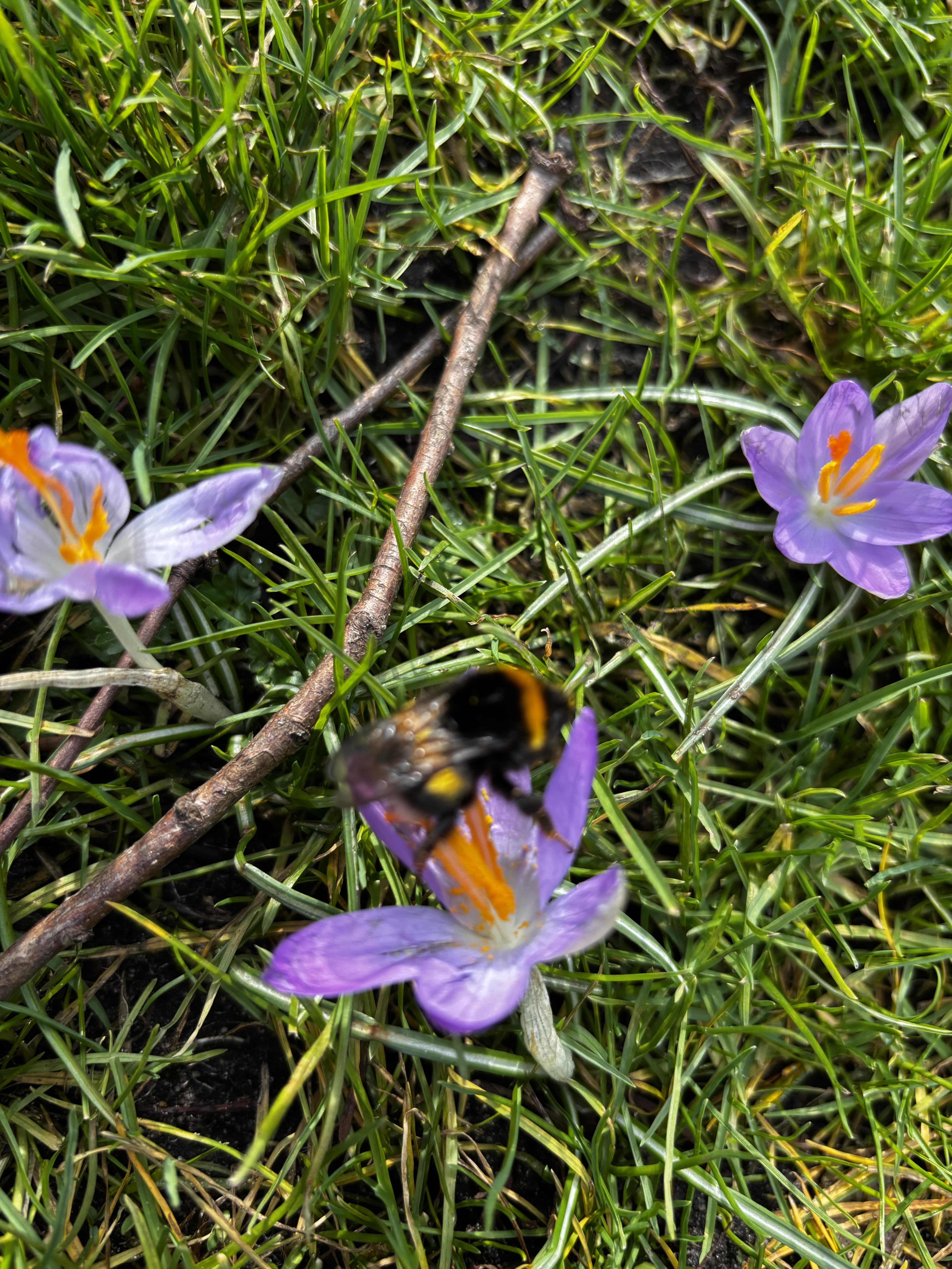 b1633effe8493b2e0a88b0ec97892ed1.jpg