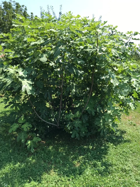 b90d7e6722a227e84805d5bf8075b4e1.jpg