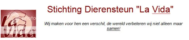 bannerlavida.jpg