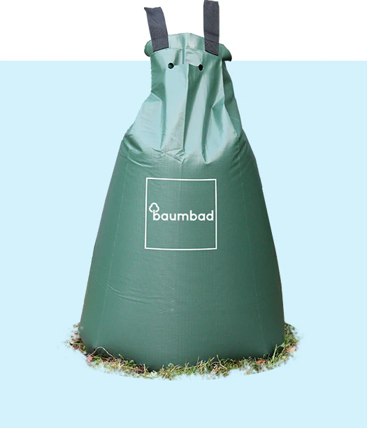 baumbad-beutel-1erausdemShop.jpg?v=16335