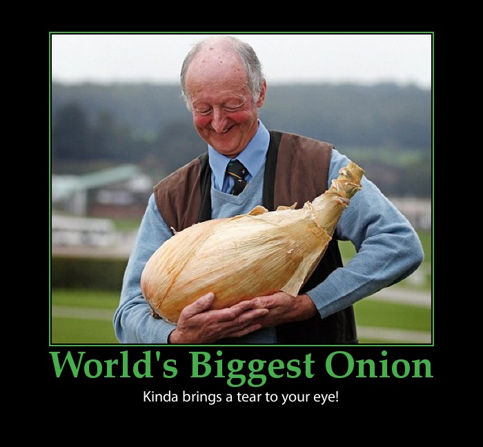 biggest-onion-record1.jpg