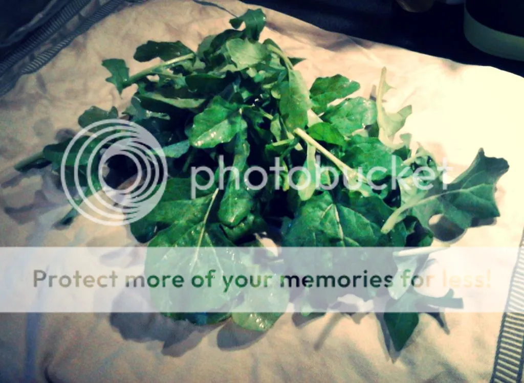 c7273d2f-5390-43cf-8ed9-ebe794c36792_zps572f62f4.jpg?t=1400012213