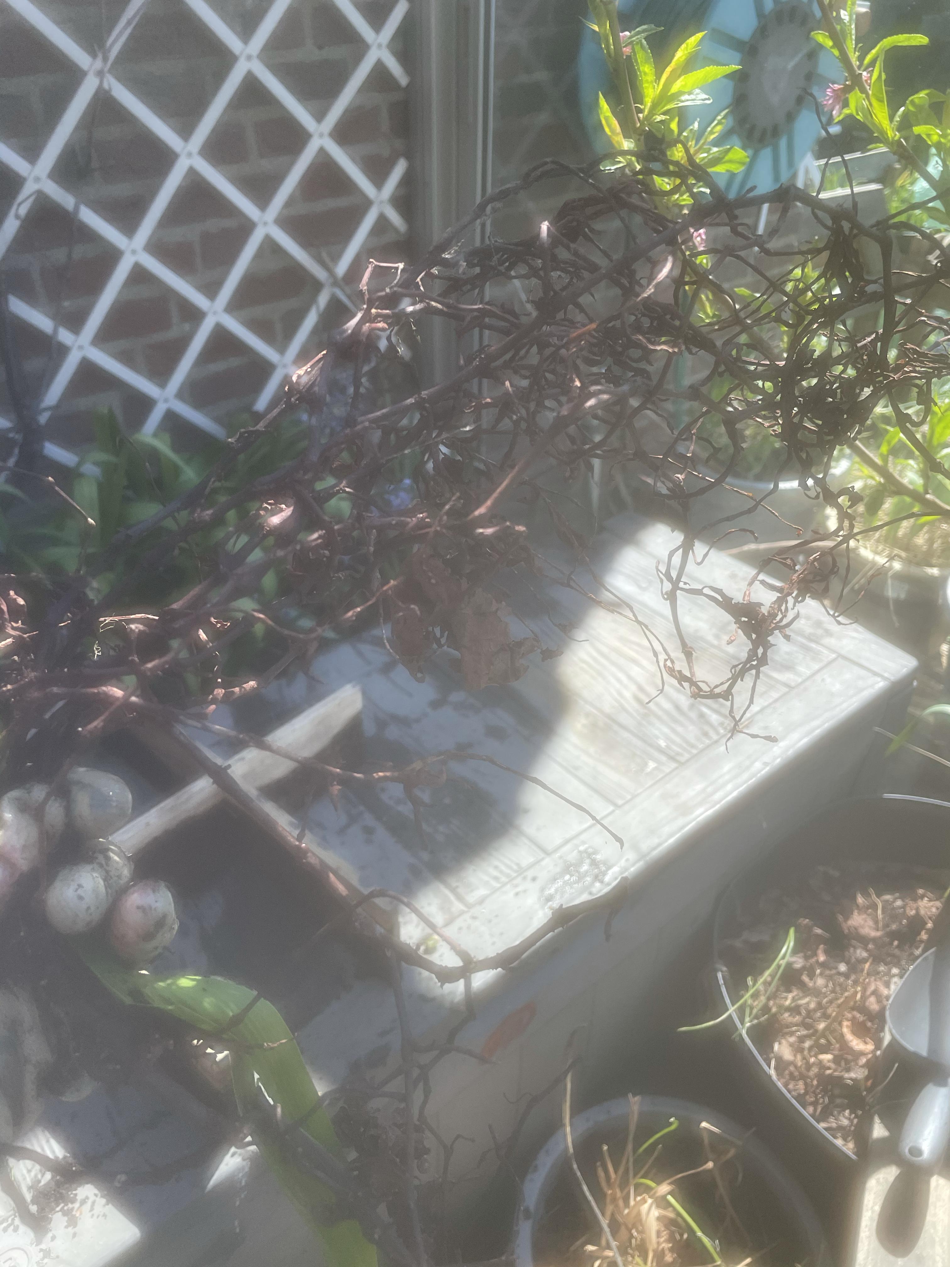 c93eb7401004dc6e505571cc567eef2e.jpg